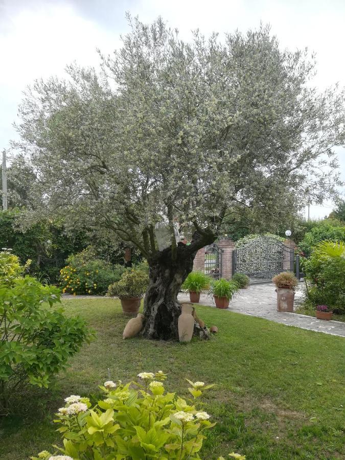 מלון קוואלינו-טראפורטי Casa Pianta מראה חיצוני תמונה